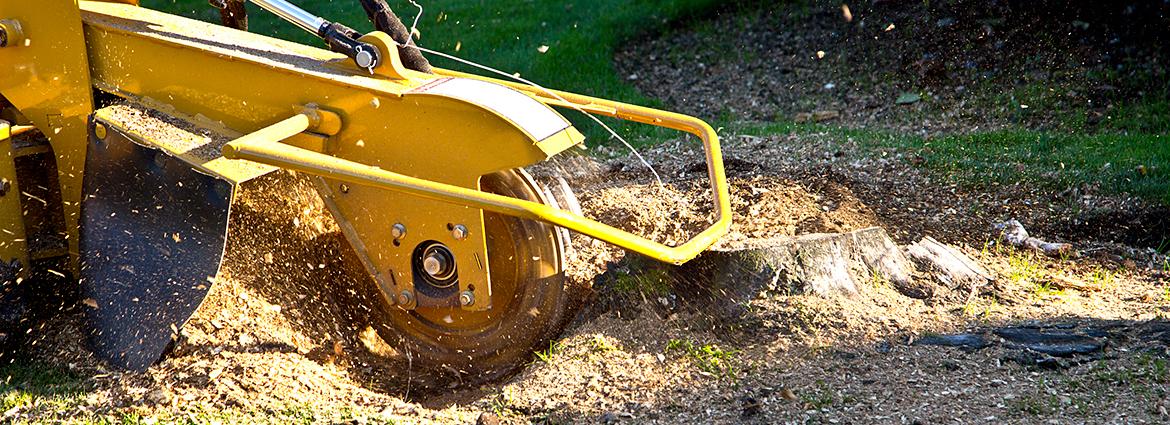 CO Stump Removal